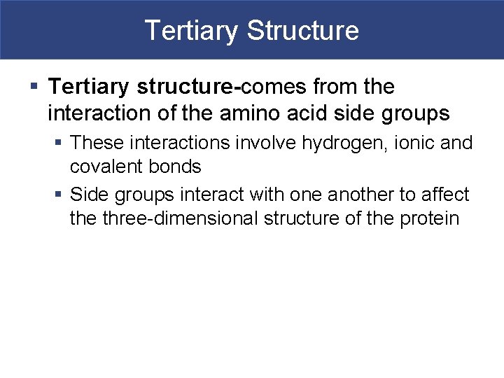 Tertiary Structure § Tertiary structure-comes from the interaction of the amino acid side groups