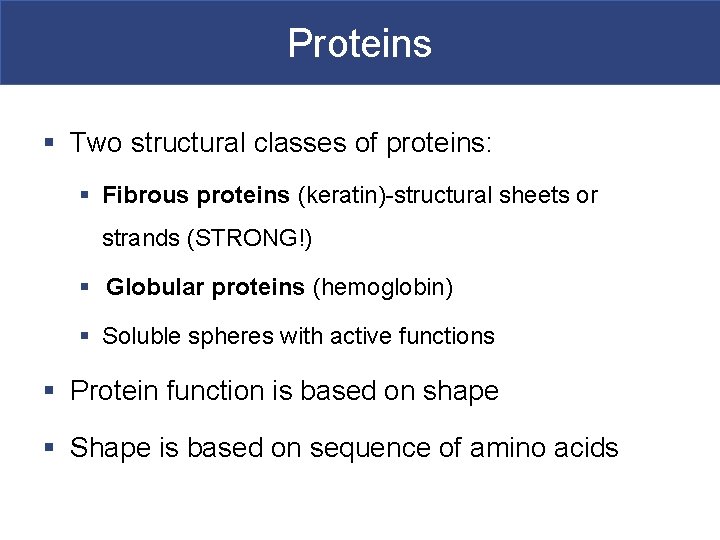 Proteins § Two structural classes of proteins: § Fibrous proteins (keratin)-structural sheets or strands