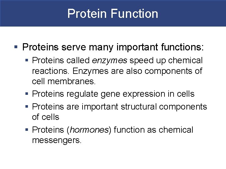 Protein Function § Proteins serve many important functions: § Proteins called enzymes speed up