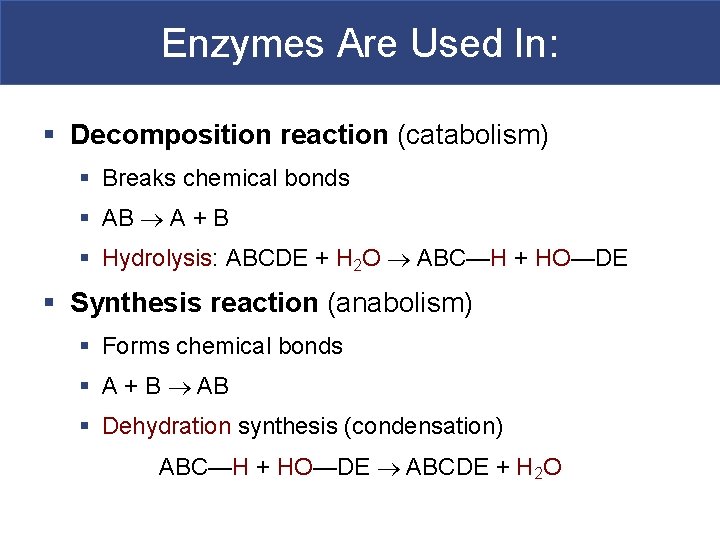 Enzymes Are Used In: § Decomposition reaction (catabolism) § Breaks chemical bonds § AB
