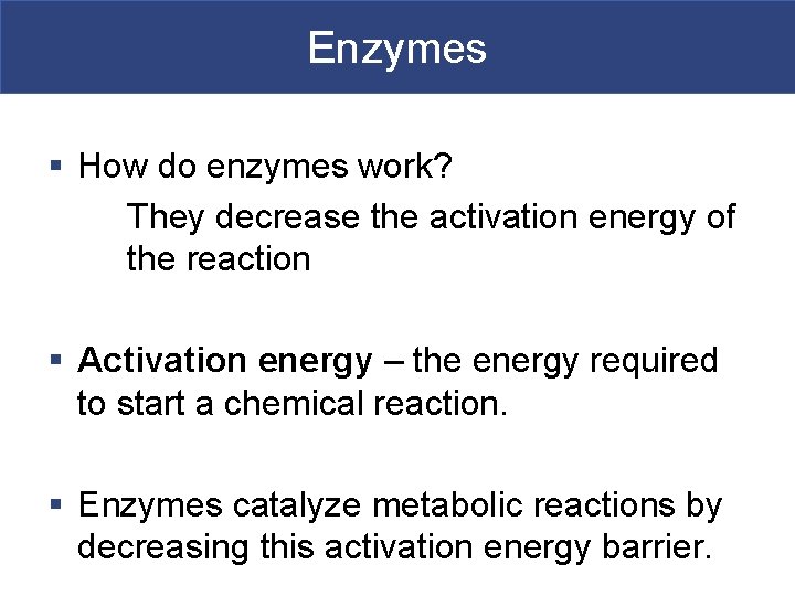 Enzymes § How do enzymes work? They decrease the activation energy of the reaction
