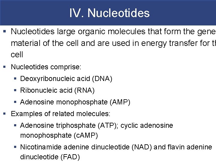 IV. Nucleotides § Nucleotides large organic molecules that form the genet material of the