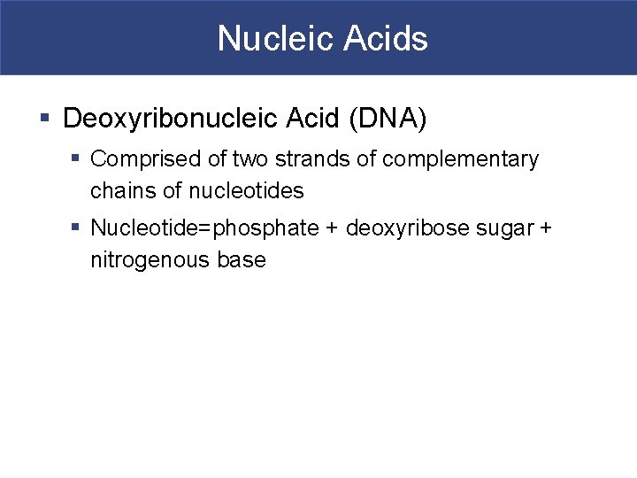 Nucleic Acids § Deoxyribonucleic Acid (DNA) § Comprised of two strands of complementary chains