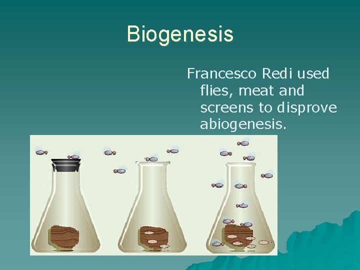 Biogenesis Francesco Redi used flies, meat and screens to disprove abiogenesis. 
