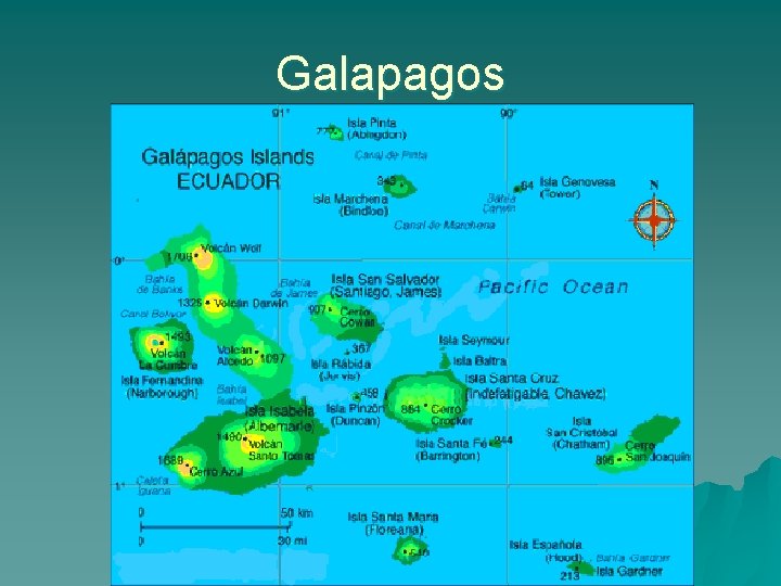 Galapagos 