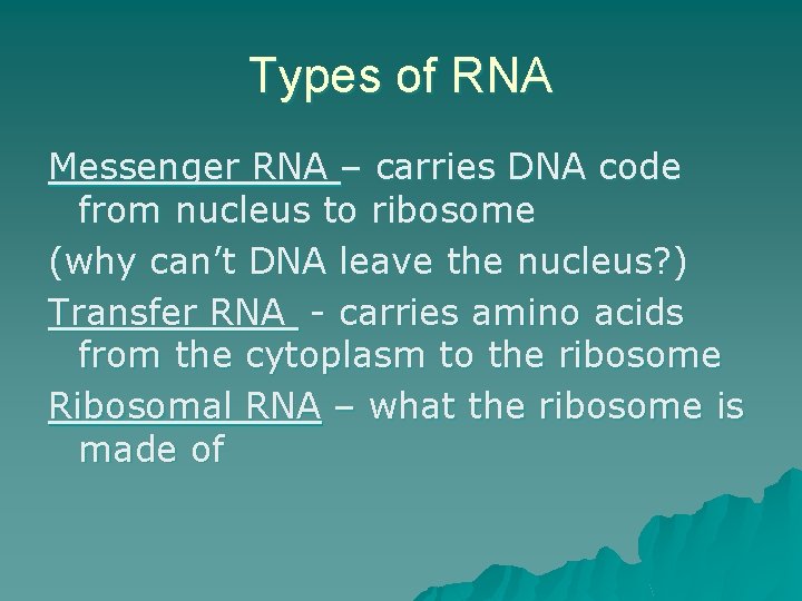 Types of RNA Messenger RNA – carries DNA code from nucleus to ribosome (why