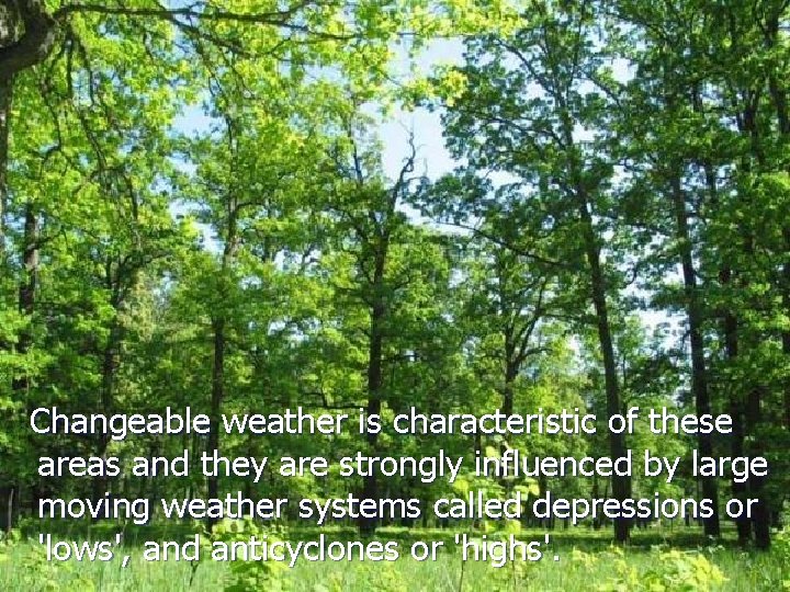 Changeable weather is characteristic of these areas and they are strongly influenced by large