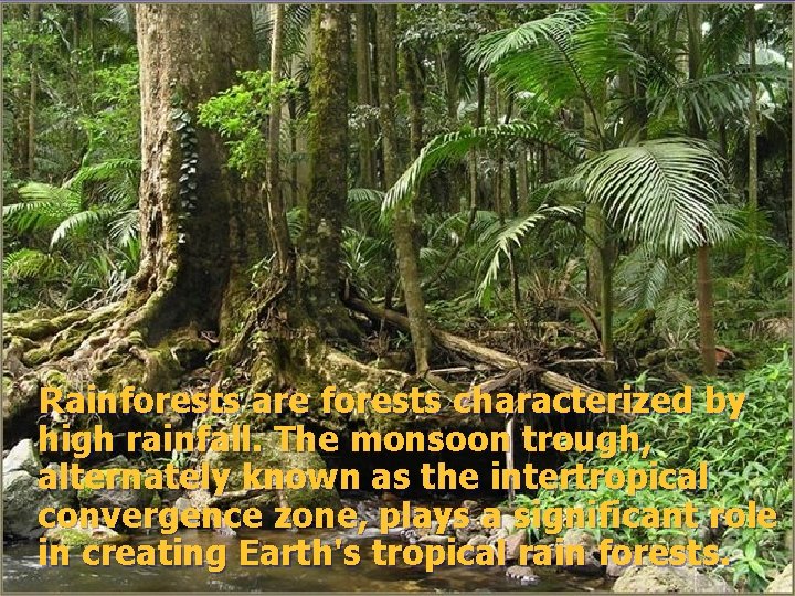 Rainforests are forests characterized by high rainfall. The monsoon trough, alternately known as the