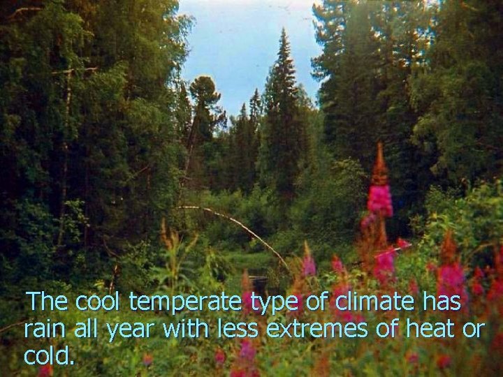 The cool temperate type of climate has rain all year with less extremes of