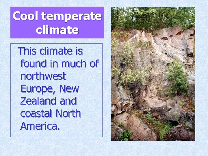 Cool temperate climate This climate is found in much of northwest Europe, New Zealand
