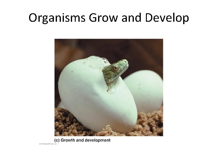Organisms Grow and Develop 