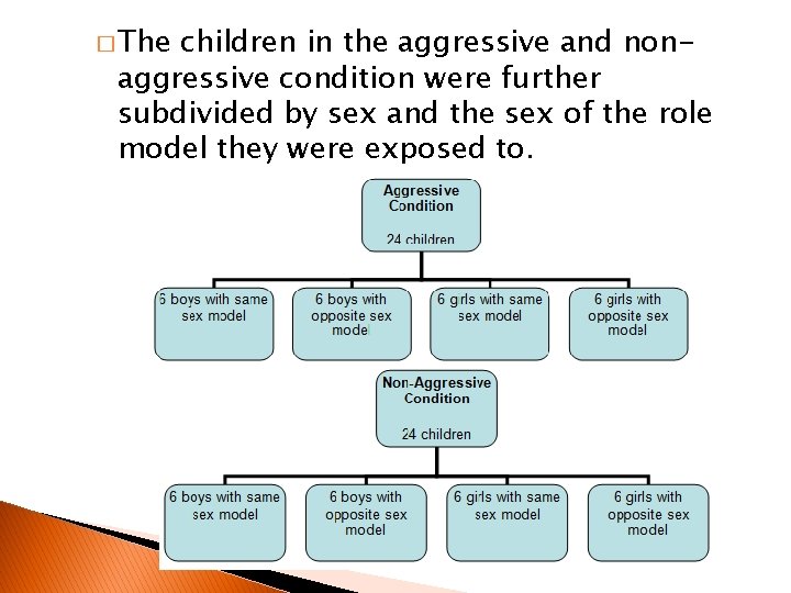 � The children in the aggressive and nonaggressive condition were further subdivided by sex
