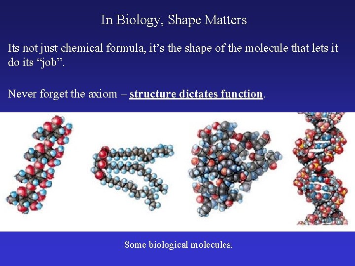 In Biology, Shape Matters Its not just chemical formula, it’s the shape of the