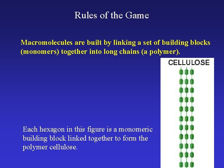 Rules of the Game Macromolecules are built by linking a set of building blocks