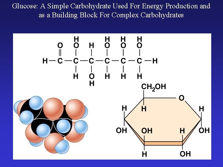 Glucose: A Simple Carbohydrate Used For Energy Production and as a Building Block For