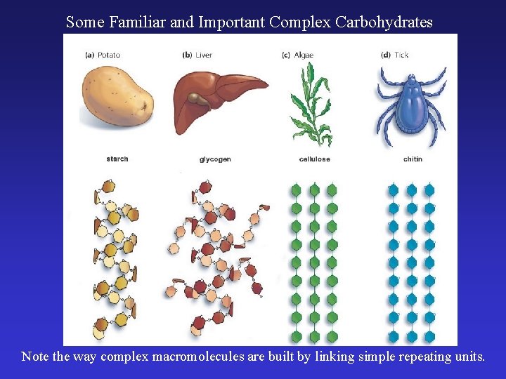 Some Familiar and Important Complex Carbohydrates Note the way complex macromolecules are built by