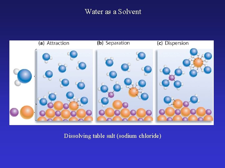 Water as a Solvent Dissolving table salt (sodium chloride) 
