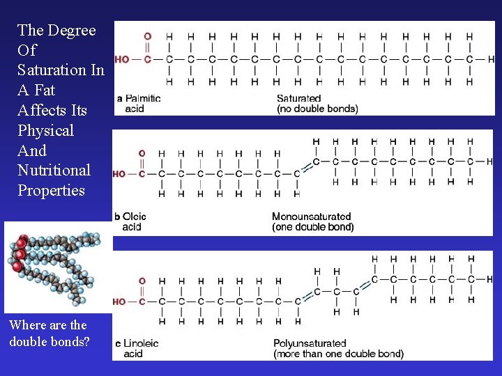The Degree Of Saturation In A Fat Affects Its Physical And Nutritional Properties Where