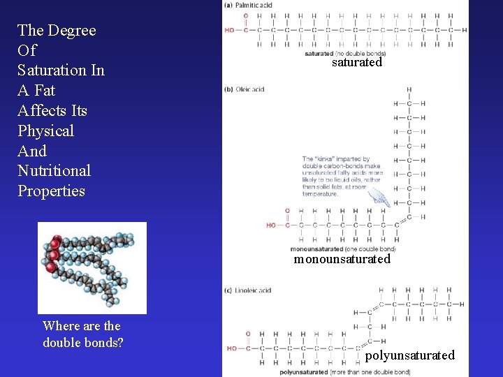 The Degree Of Saturation In A Fat Affects Its Physical And Nutritional Properties saturated