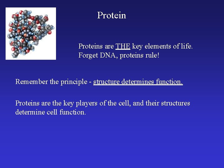 Proteins are THE key elements of life. Forget DNA, proteins rule! Remember the principle