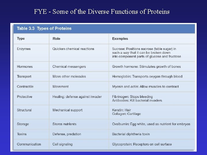 FYE - Some of the Diverse Functions of Proteins 