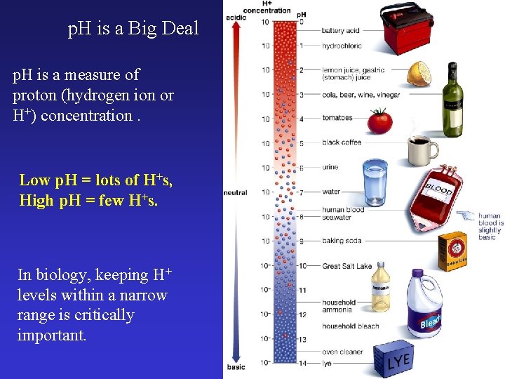 p. H is a Big Deal p. H is a measure of proton (hydrogen