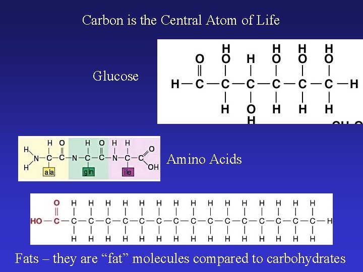 Carbon is the Central Atom of Life Glucose Amino Acids Fats – they are