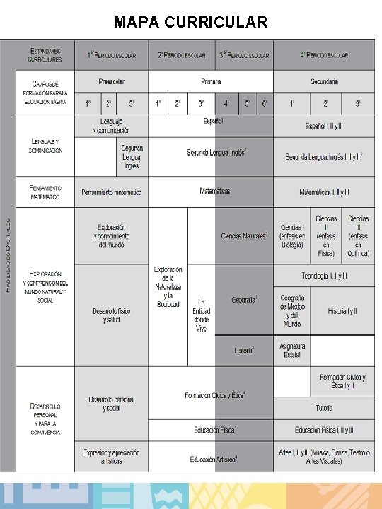 MAPA CURRICULAR 