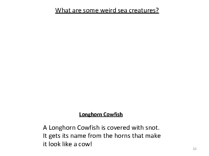 What are some weird sea creatures? Longhorn Cowfish A Longhorn Cowfish is covered with