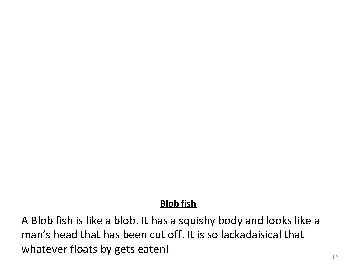Blob fish A Blob fish is like a blob. It has a squishy body