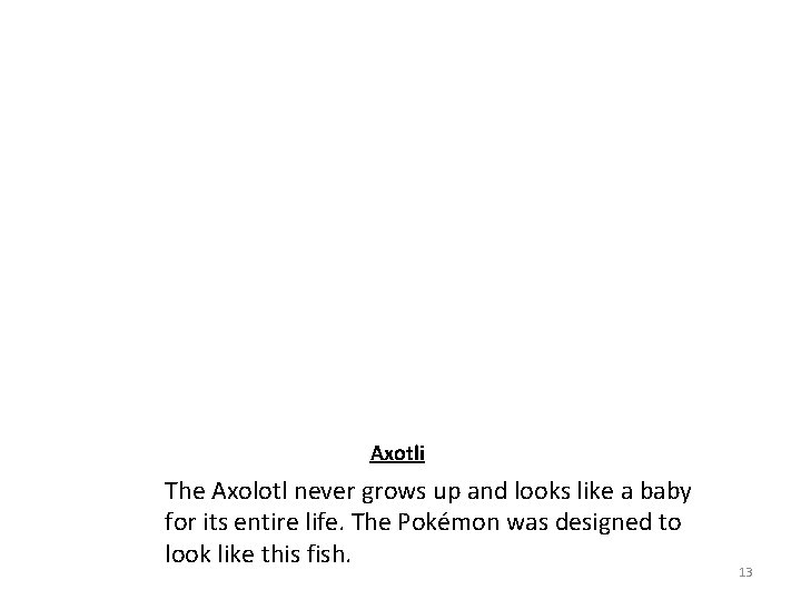 Axotli The Axolotl never grows up and looks like a baby for its entire