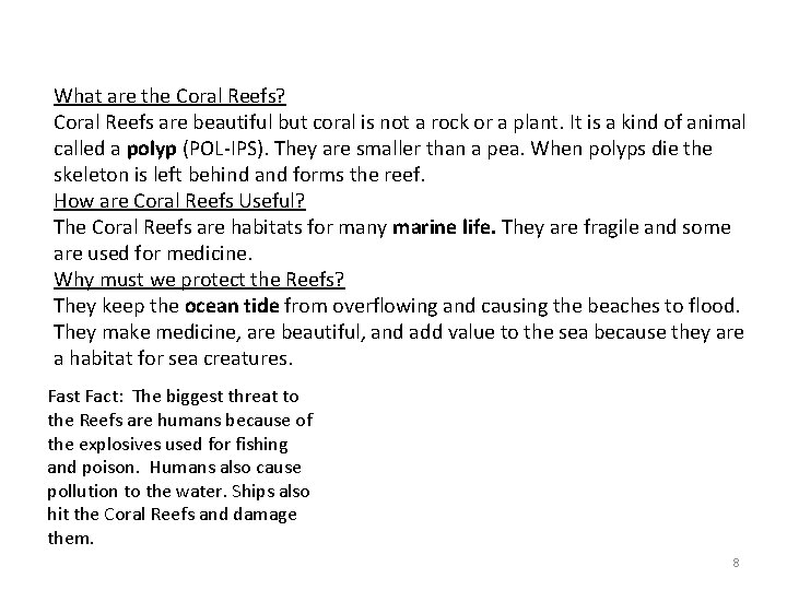 What are the Coral Reefs? Coral Reefs are beautiful but coral is not a