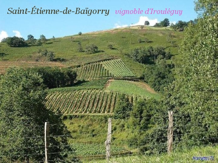 Saint-Étienne-de-Baïgorry vignoble d’Irouléguy 