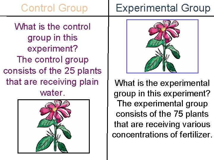 Control Group What is the control group in this experiment? The control group consists