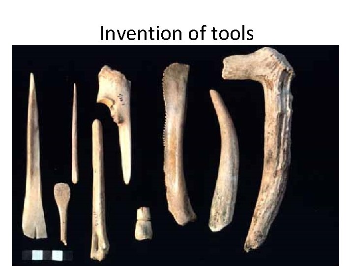 Invention of tools 