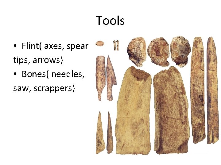 Tools • Flint( axes, spear tips, arrows) • Bones( needles, saw, scrappers) 