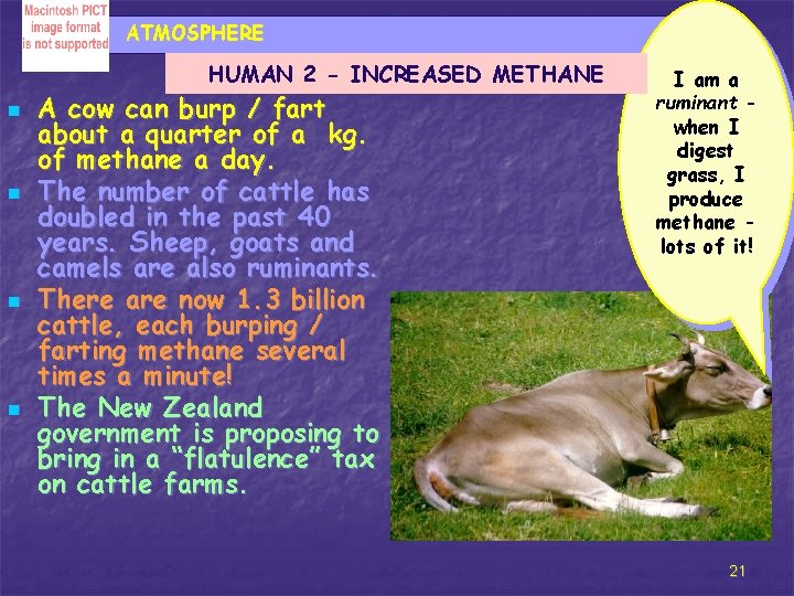 ATMOSPHERE HUMAN 2 - INCREASED METHANE n n A cow can burp / fart