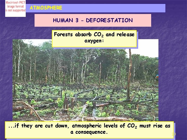 ATMOSPHERE HUMAN 3 - DEFORESTATION Forests absorb CO 2 and release oxygen: . .
