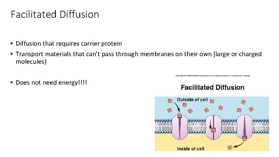 Facilitated Diffusion • Diffusion that requires carrier protein • Transport materials that can’t pass