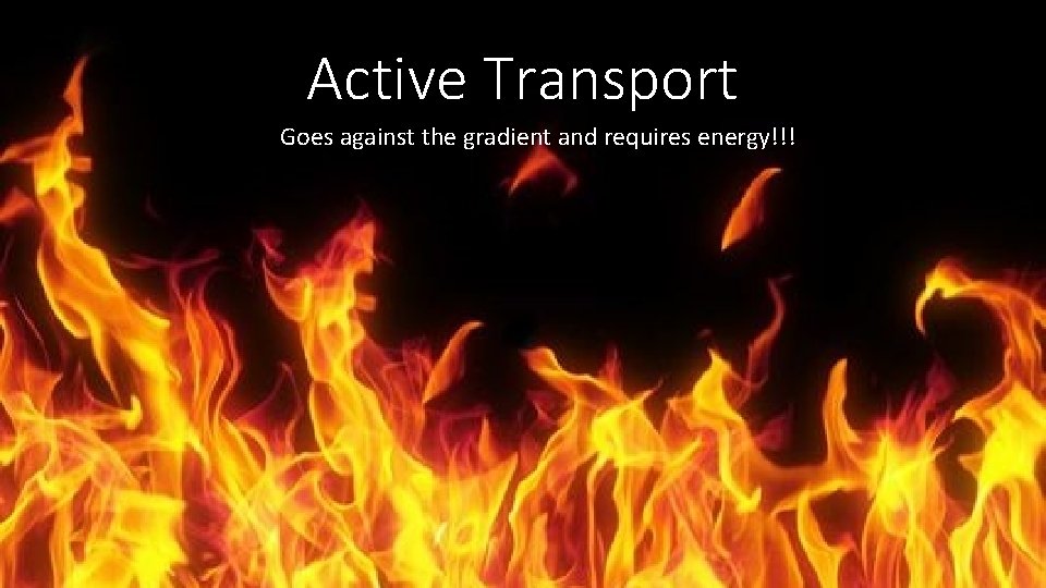 Active Transport Goes against the gradient and requires energy!!! 
