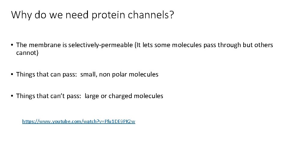 Why do we need protein channels? • The membrane is selectively-permeable (It lets some