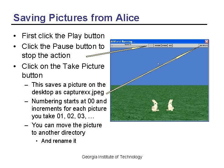 Saving Pictures from Alice • First click the Play button • Click the Pause