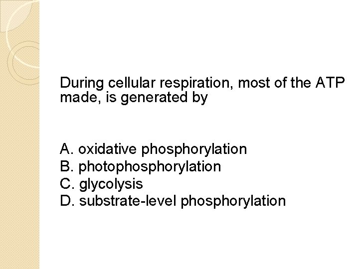 During cellular respiration, most of the ATP made, is generated by A. oxidative phosphorylation