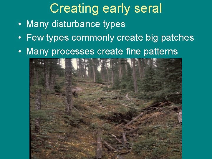 Creating early seral • Many disturbance types • Few types commonly create big patches