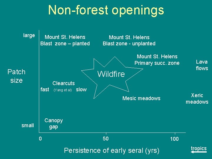 Non-forest openings large Mount St. Helens Blast zone – planted Mount St. Helens Blast