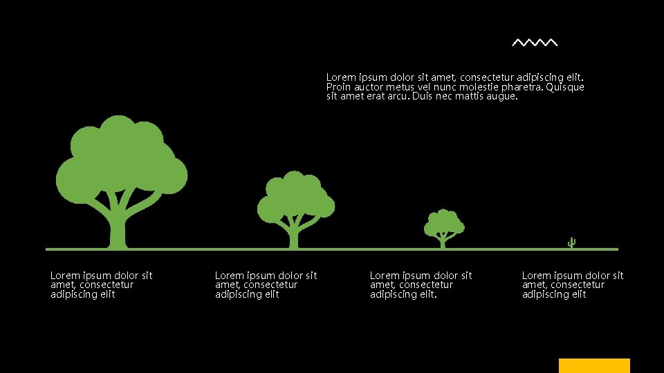 Lorem ipsum dolor sit amet, consectetur adipiscing elit. Proin auctor metus vel nunc molestie