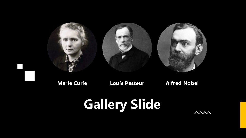 Marie Curie Louis Pasteur Gallery Slide Alfred Nobel 