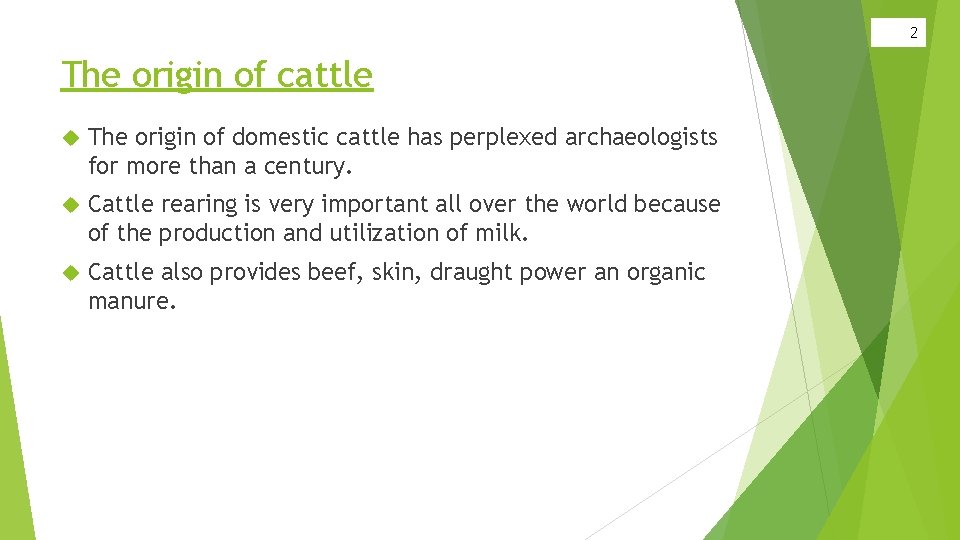 2 The origin of cattle The origin of domestic cattle has perplexed archaeologists for