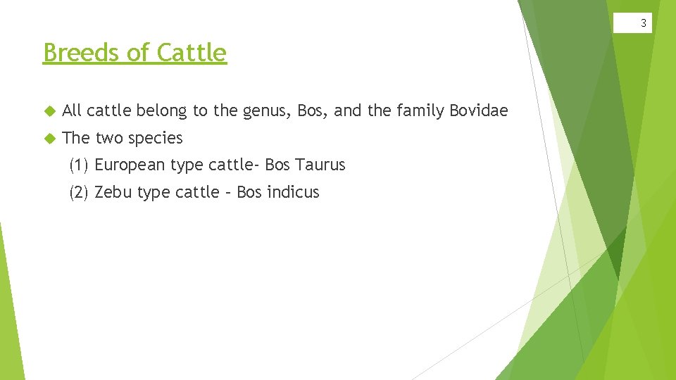 3 Breeds of Cattle All cattle belong to the genus, Bos, and the family