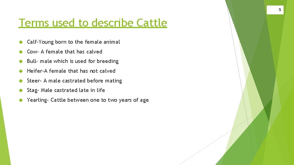 9 Terms used to describe Cattle Calf-Young born to the female animal Cow- A